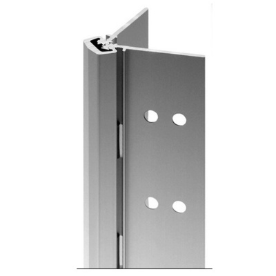 Qualified Special Order Heavy Duty Concealed Leaf Continuous Hinge Continuous Hinges