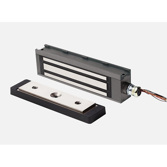 Schlage High Security Electromagnetic Gate Lock Access Control